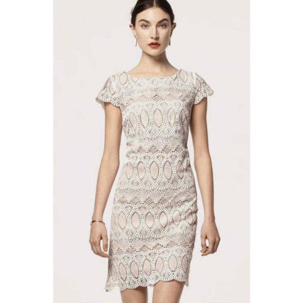Eliza J Womens White Scalloped Lace Eyelet Sheath Dress Size 6
